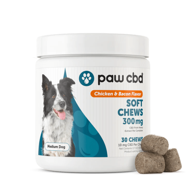 Pet CBD Soft Chews for Dogs